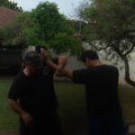 Wing Chun Technique Defense